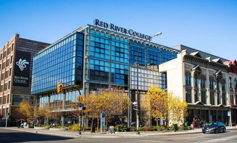 Du Học Canada: Nên Học College Hay University Để Có Tương Lai Tốt Nhất?